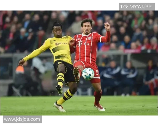 亨利比奥纳尔领衔，德甲代表征战世界扶翔舞台